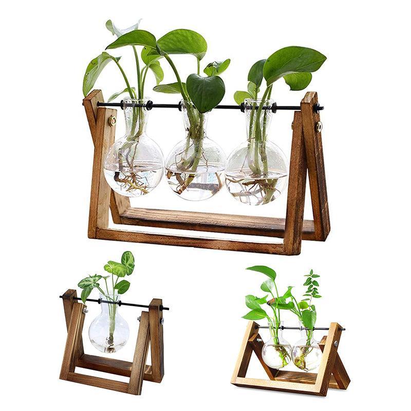 Hanging Glass Vase with Wood Stand for Hydroponic Plants - Size M, 2 Bottles (Tray 22 x 14 cm) - view 3