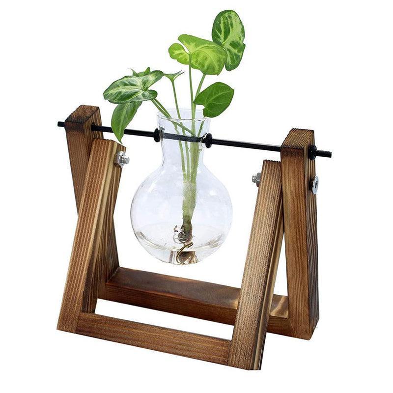 Hanging Glass Vase with Wood Stand for Hydroponic Plants - Size S, 1 Bottle (Tray 16 x 14 cm)