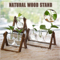 Hanging Glass Vase with Wood Stand for Hydroponic Plants - Size S, 1 Bottle (Tray 16 x 14 cm) - view 2