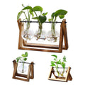 Hanging Glass Vase with Wood Stand for Hydroponic Plants - Size S, 1 Bottle (Tray 16 x 14 cm) - view 3