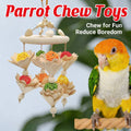 Hanging Parrot Chew Toy with Natural Wood and Woven Balls for Cage Beak Grinding