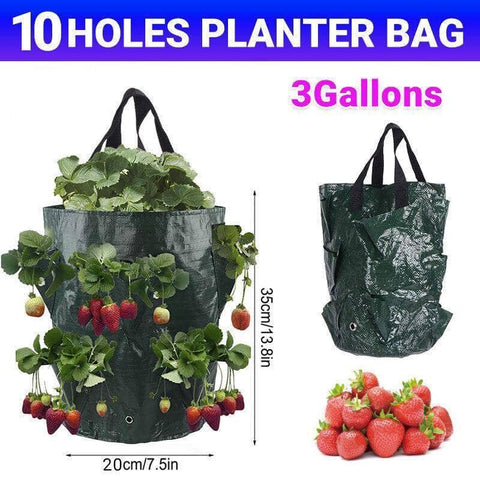 Hanging Strawberry Planter Bag, 3 Gallon Garden Grow Bag with 10 Holes