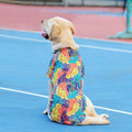Hawaiian Shirt for Pets - Red Pineapple Print, Size 3XL (Chest 65 cm) - view 4