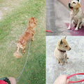 Heavy Duty Metal Chain Dog Lead with Padded Handle, 120cm - Blue - view 5