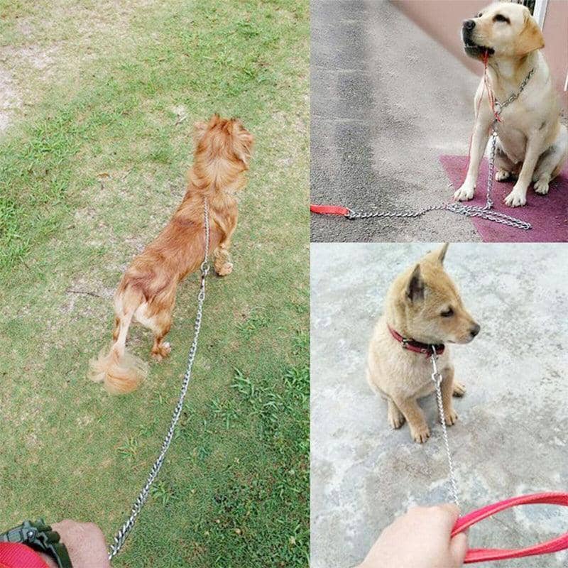 Heavy Duty Metal Chain Dog Lead with Padded Handle, 120cm - Blue - view 5