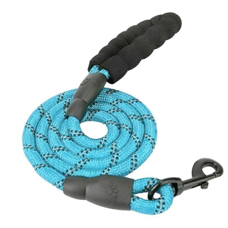 Heavy Duty Nylon Dog Leash with Padded Handle, 1.5 m - Sky Blue