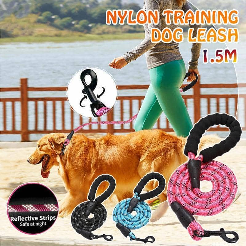 Heavy Duty Nylon Dog Leash with Padded Handle, 1.5 m - Sky Blue - view 2