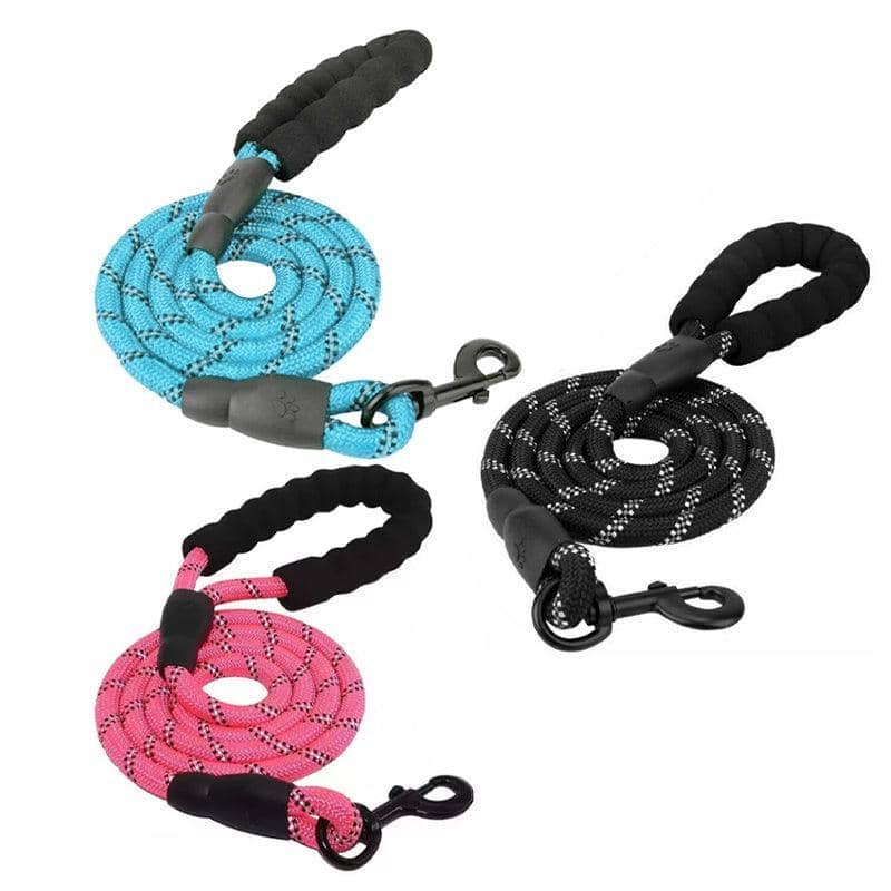 Heavy Duty Nylon Dog Leash with Padded Handle, 1.5 m - Sky Blue - view 3