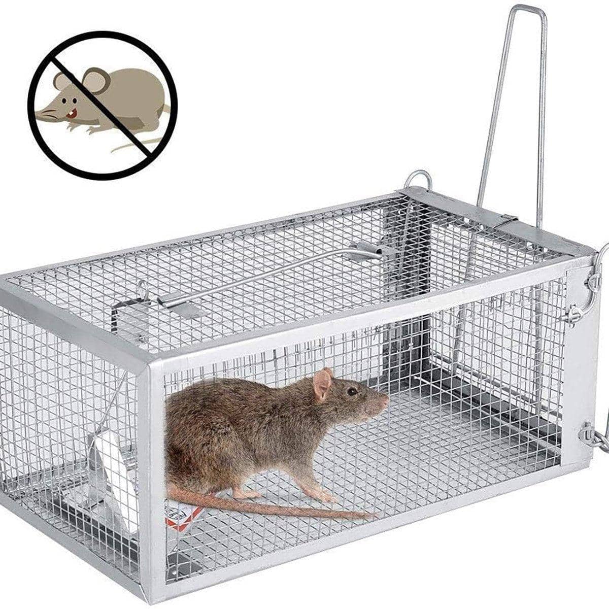 Humane Live Catch Rodent Trap Cage - Single Door, 27 x 14 x 12 cm - view 4