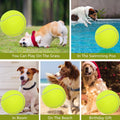 Inflatable Tennis Ball Dog Toy, 24 cm Fetch and Training Ball - view 5