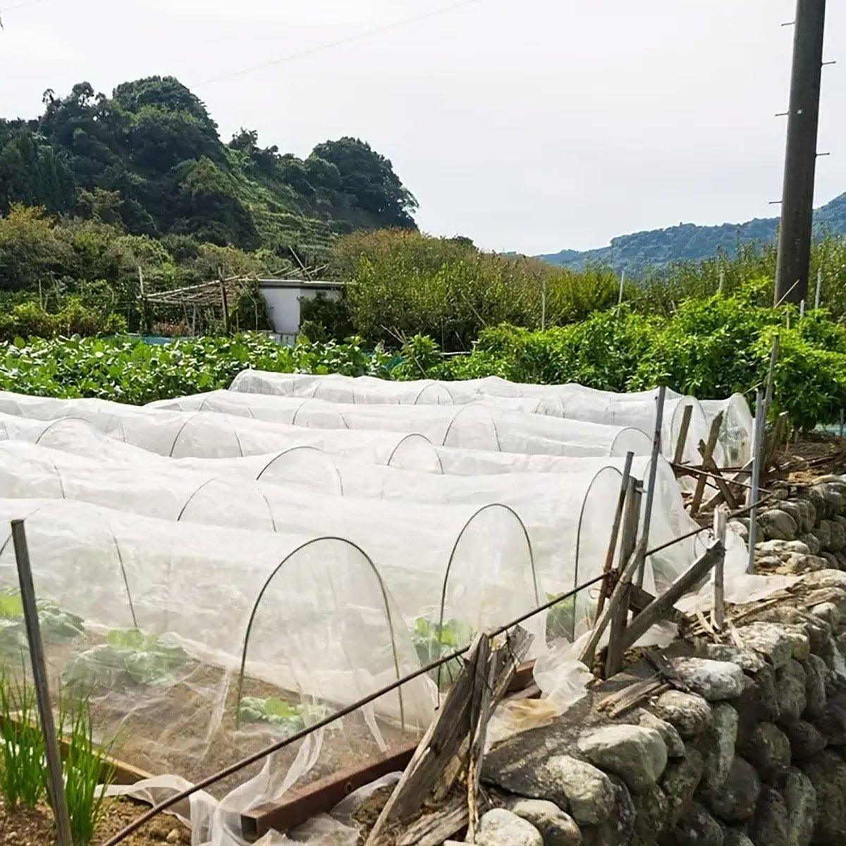 Insect Proof Greenhouse Net for Fruit and Vegetable Plants - 250cm x 10m - view 12