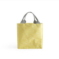 Insulated Canvas Lunch Bag Tote - Style D04, 20 x 19 x 13 cm