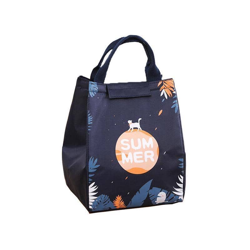 Insulated Lunch Bag, Portable Picnic Cooler Tote - Large 18x24x15cm, Model E02