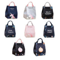 Insulated Lunch Bag, Portable Picnic Cooler Tote - Large 18x24x15cm, Model E02 - view 3