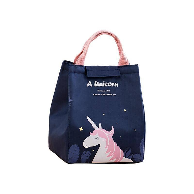 Insulated Lunch Bag, Portable Picnic Cooler Tote - Large 18x24x15cm, Model E03