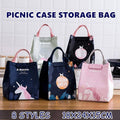 Insulated Lunch Bag, Portable Picnic Cooler Tote - Large 18x24x15cm, Model E03 - view 2
