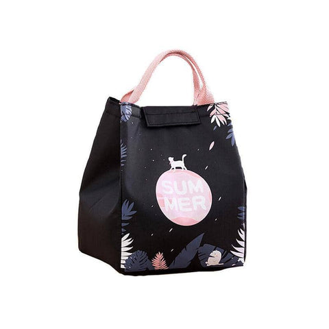 Insulated Lunch Bag, Portable Picnic Cooler Tote - Large 18x24x15cm, Model E04