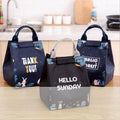 Insulated Lunch Bag, Portable Picnic Cooler Tote - Large 18x24x15cm, Model E04 - view 5