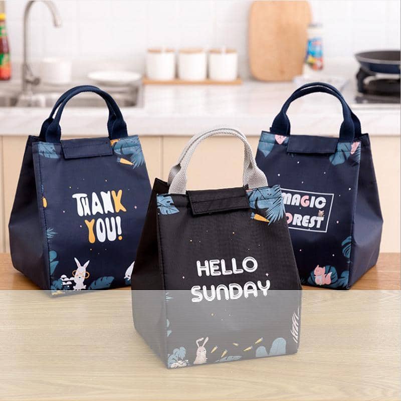 Insulated Lunch Bag, Portable Picnic Cooler Tote - Large 18x24x15cm, Model E04 - view 5