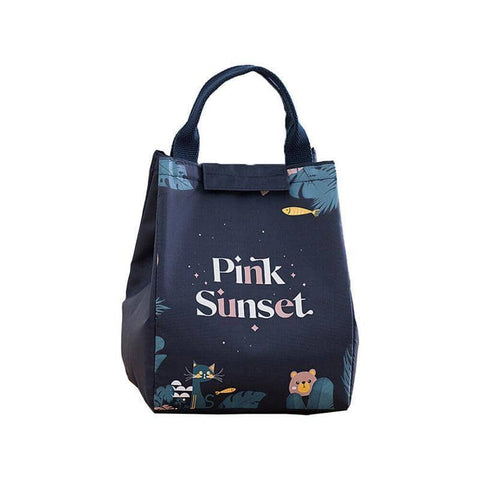 Insulated Lunch Bag, Portable Picnic Cooler Tote - Large 18x24x15cm, Model E06