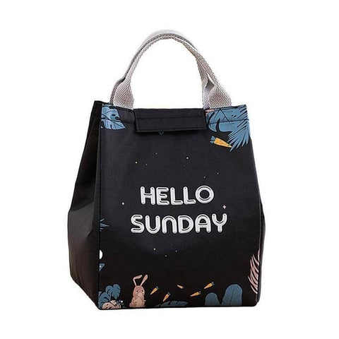 Insulated Lunch Bag, Portable Picnic Cooler Tote - Large 18x24x15cm, Model E07