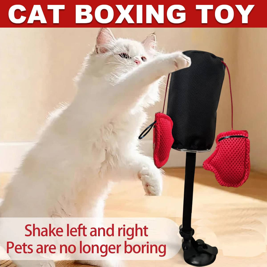 Interactive Cat Boxing Toy with Swinging Punching Bag and Mitts