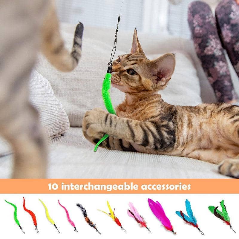 Interactive Cat Feather Teaser Wand Toy Set for Kittens and Cats, Pack of 12 - view 5
