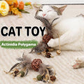 Interactive Cat Teaser Stick with Chew Toy for Cats and Kittens
