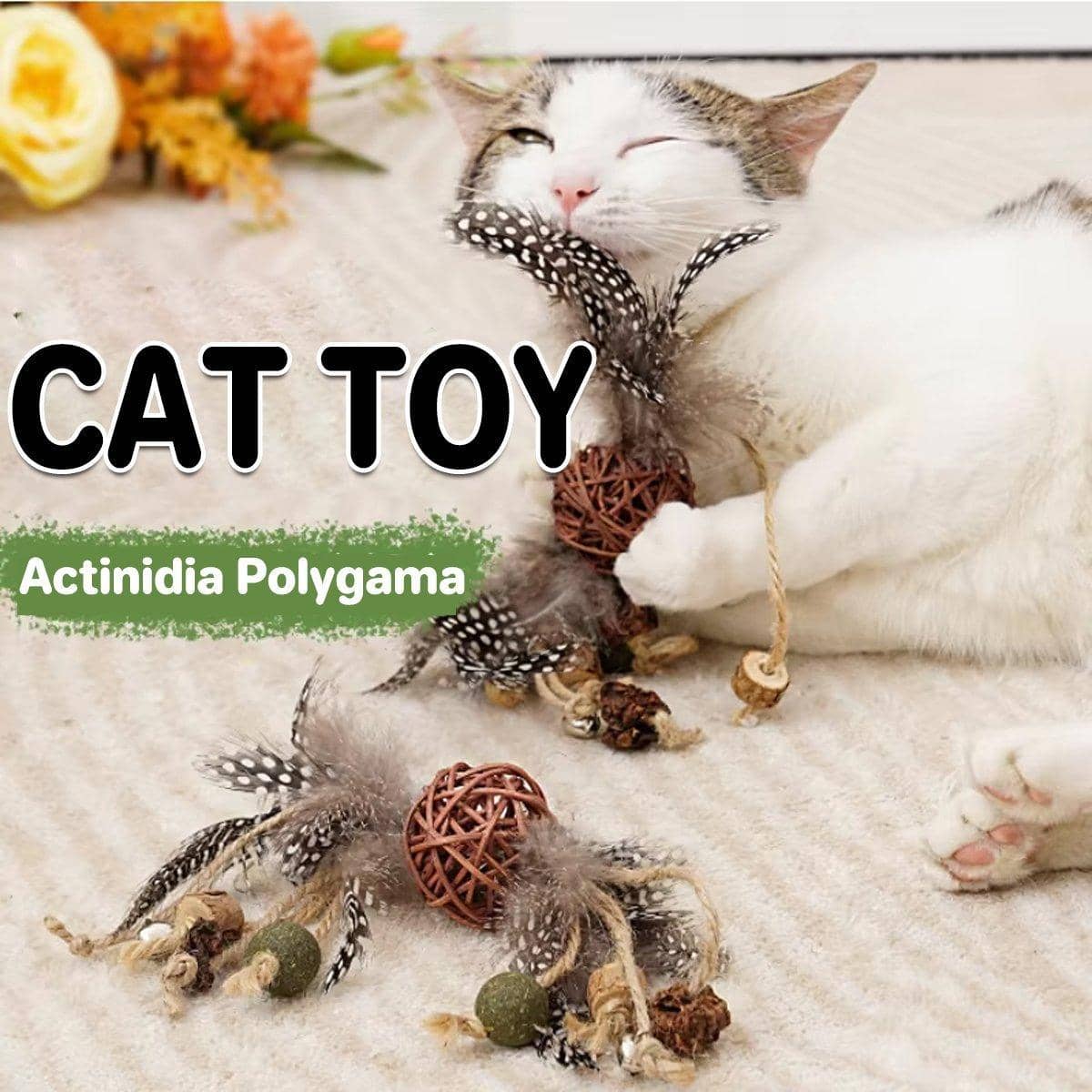 Interactive Cat Teaser Stick with Chew Toy for Cats and Kittens