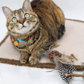Interactive Cat Teaser Stick with Chew Toy for Cats and Kittens - view 5