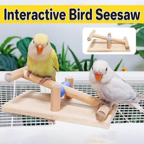 Interactive Wooden Bird Seesaw Toy for Small and Medium Birds