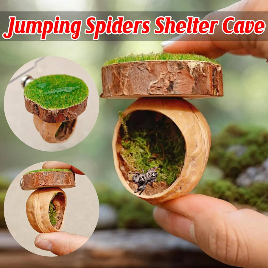 Jumping Spider Shelter Cave Made from Natural Walnut Shell and Moss