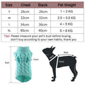 Knitted Dog Jumper in Acrylic, S - Grey - view 4