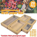 Kraft Paper Bakery Pie Boxes with Window, Pack of 20 - Long (56 x 25 x 8 cm) - view 2
