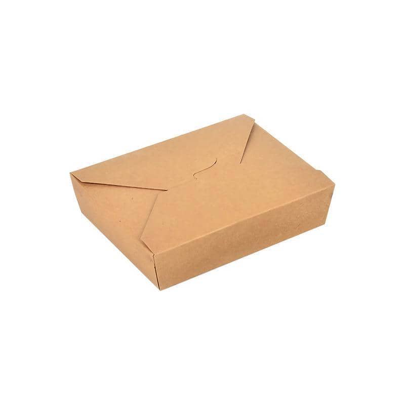 Kraft Paper Takeaway Lunch Box - 750 ml, 164 x 128 x 38 mm, Pack of 200