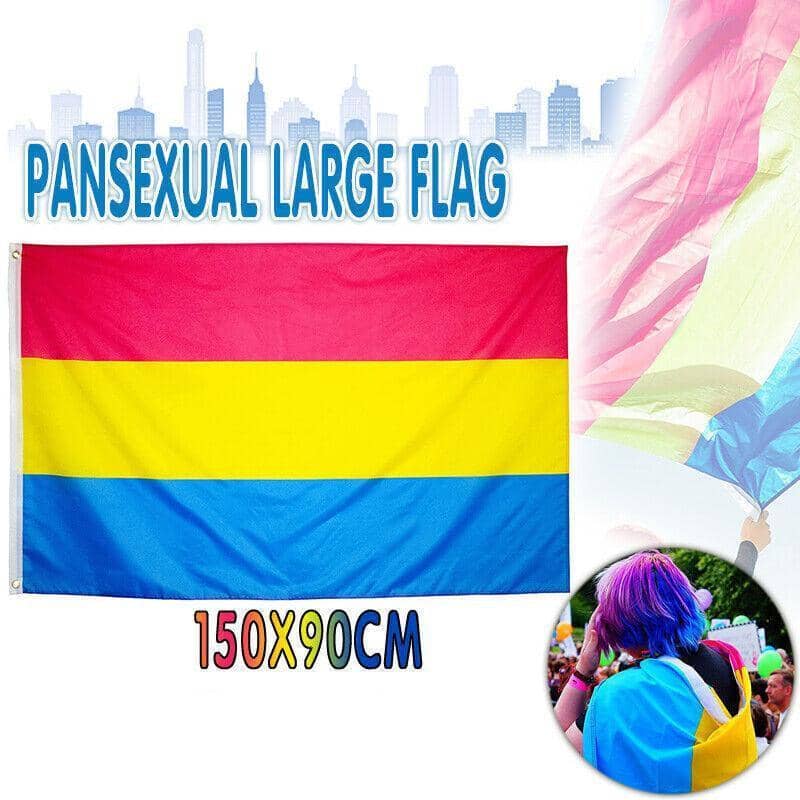 Large Pansexual Pride Flag, 150 x 90 cm, Double Sided Polyester