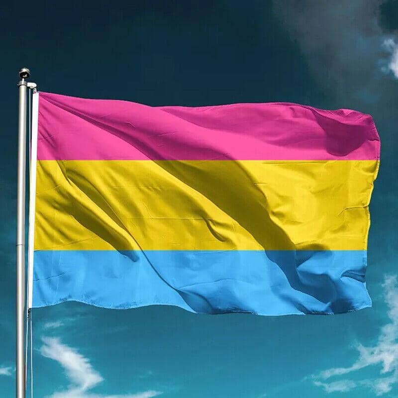 Large Pansexual Pride Flag, 150 x 90 cm, Double Sided Polyester - view 4