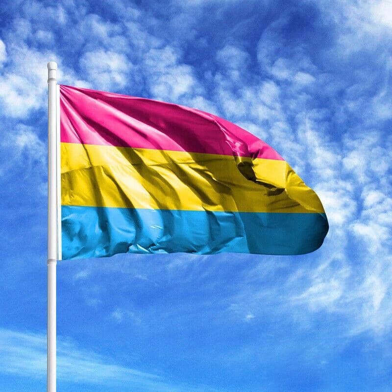 Large Pansexual Pride Flag, 150 x 90 cm, Double Sided Polyester - view 5