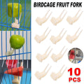 Large Parrot Fruit Forks for Bird Cages, Pack of 10 - Beige