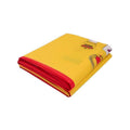 Large Spanish Flag Heavy Duty Outdoor 90 x 150 cm (3ft x 5ft) - view 5