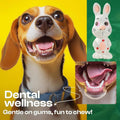 Latex Rabbit Squeaky Chew Toy for Dogs, Durable Interactive Puppy Training Toy - view 5