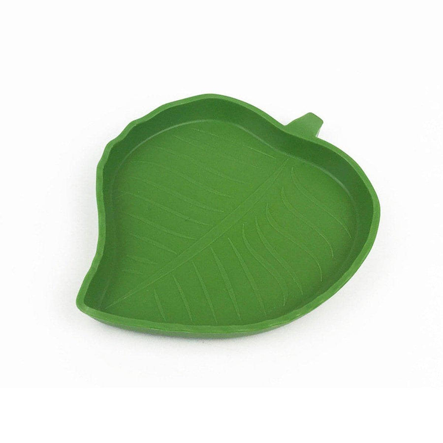 Leaf Reptile Food and Water Dish - Small, 12 x 9.5 cm