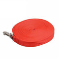 Long Dog Lead 50 ft (15 m) Nylon Training Recall Leash - Red