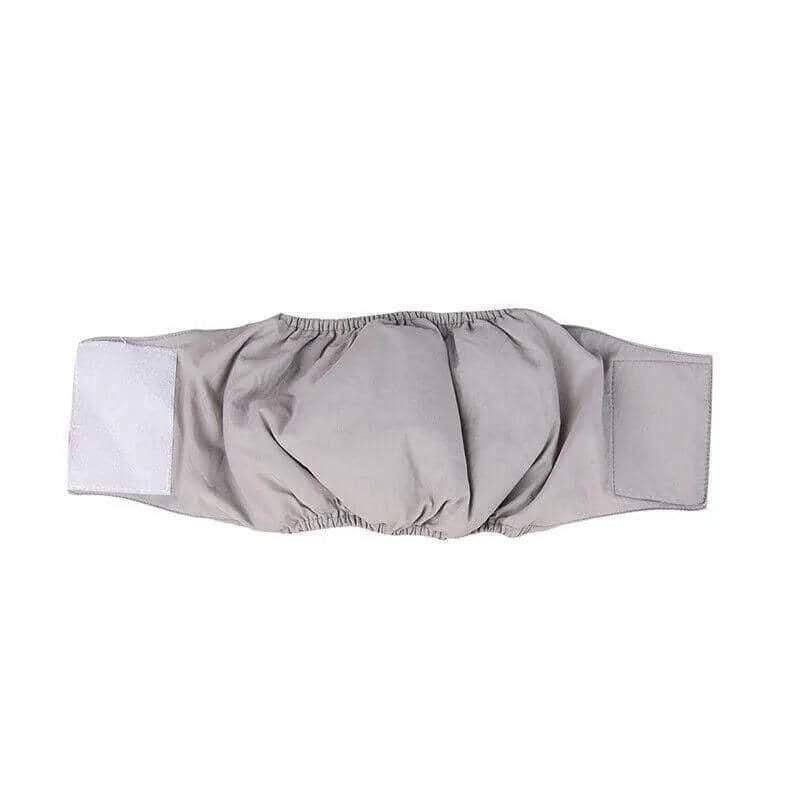 Male Dog Nappy Belly Wrap Band, Size S (Waist 32 to 41 cm) - Grey
