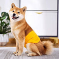 Male Dog Nappy Belly Wrap Band - Yellow, XL (Waist 62-75 cm) - view 5