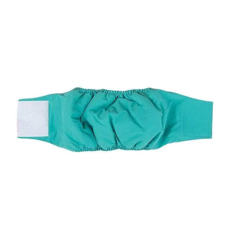 Male Dog Nappy Pants Belly Wrap Band - Teal, Large (Waist 50-62 cm)
