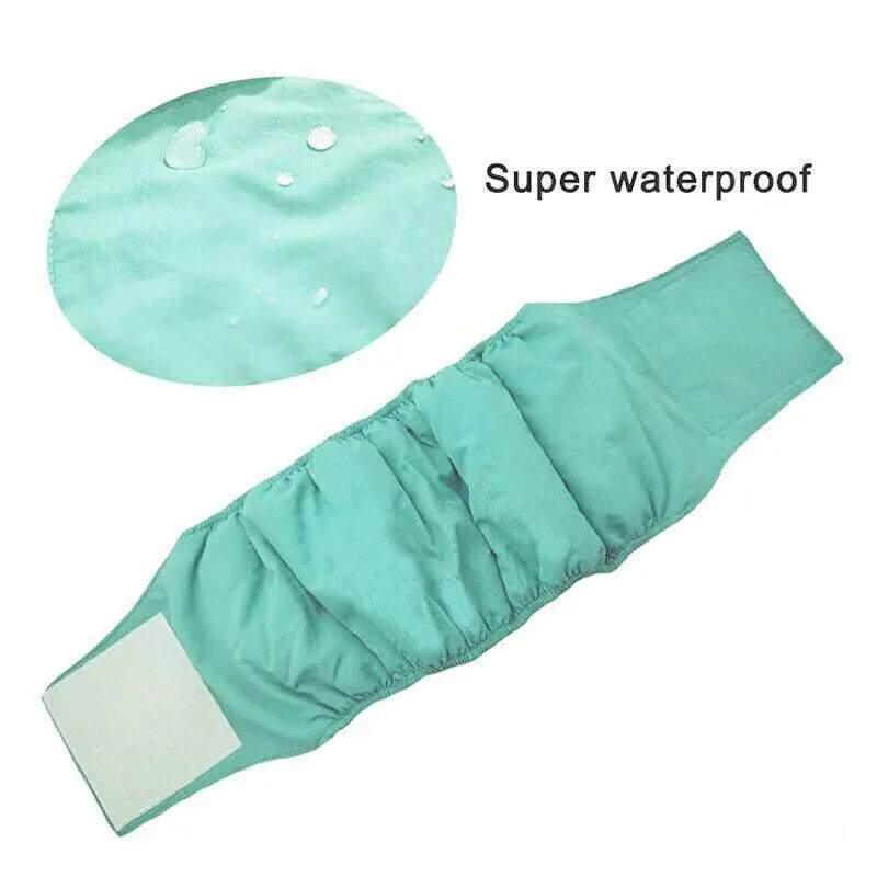 Male Dog Nappy Pants Belly Wrap Band - Yellow, Large (Waist 50-62 cm) - view 4