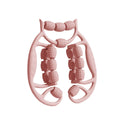 Manual Leg Massager Roller for Thigh and Calf - Pink