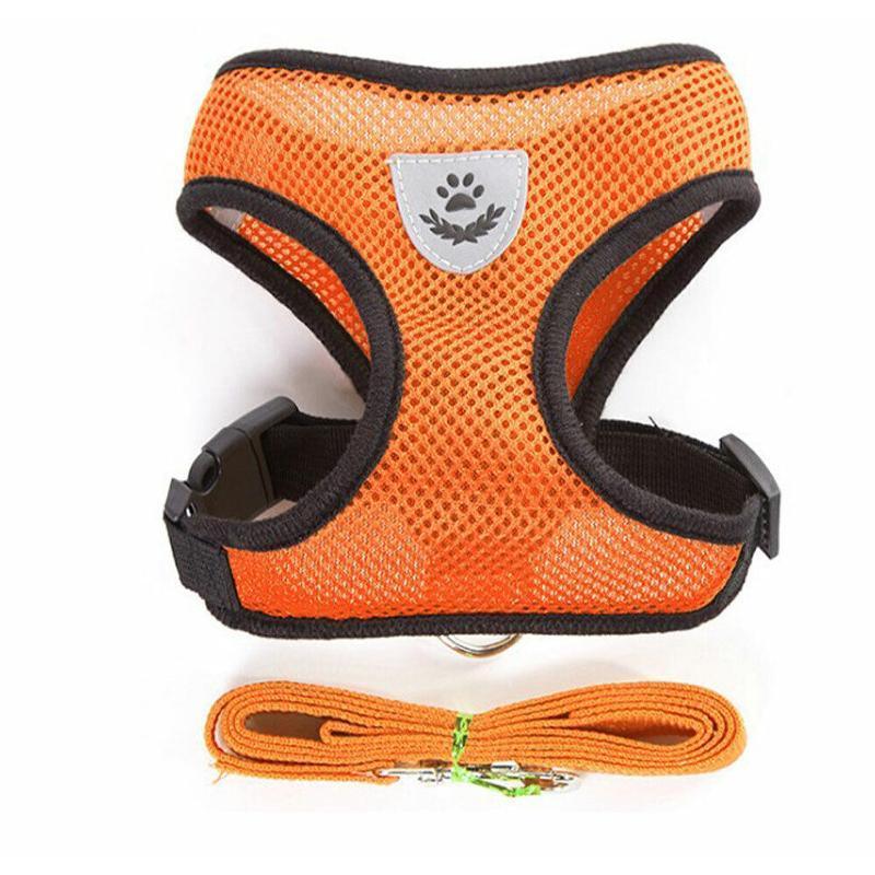 Mesh Pet Harness Vest with Lead, Size M (Chest 36-46 cm) - Orange