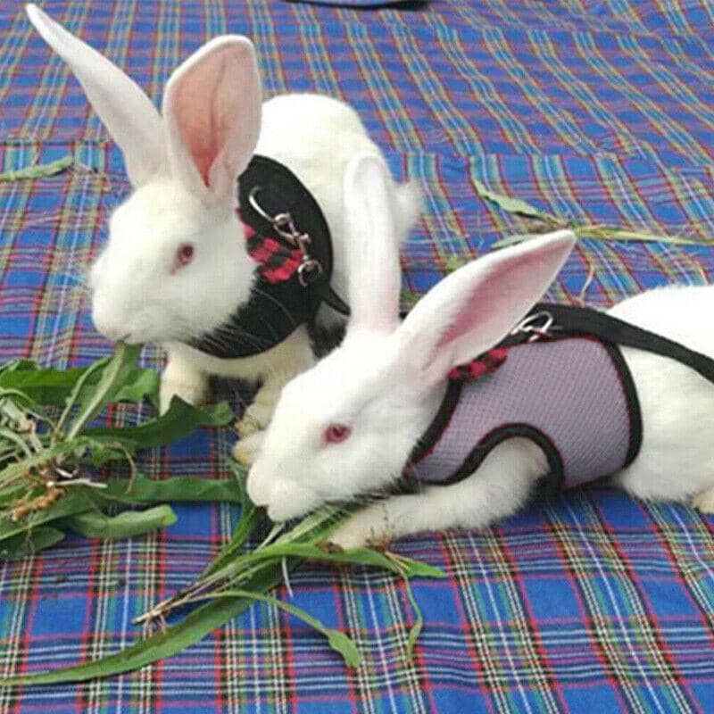 Mesh Rabbit Harness and Leash Set - Blue, Size L (Chest 35-40 cm) - view 5